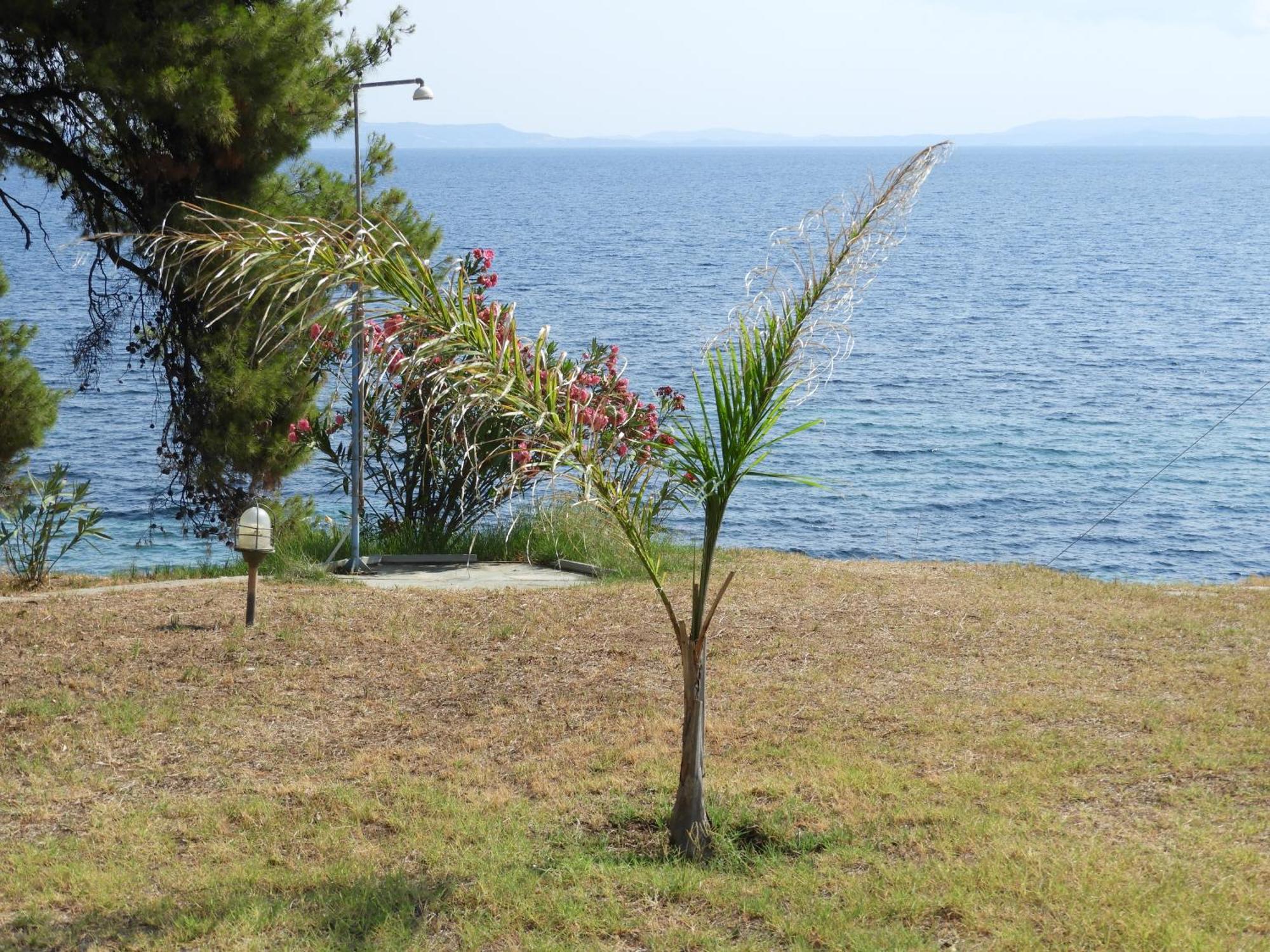 Sangue Blu Beachfront Villa Apartment Ájos Nikólaos Eksteriør bilde